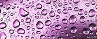 Body coating コーティング 画像
